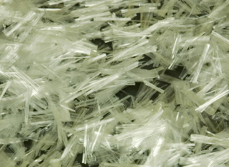 FiberMaxFI_1